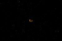 藏品(微小螺)的圖片